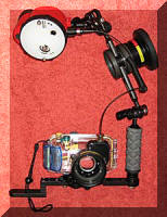 Housing, tray, arm and strobe. Click to enlarge.